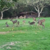 Sanborn County Park gallery