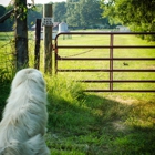 Stillwaters Farm