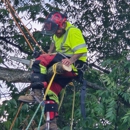 Bulldogs Tree Service - Tree Service