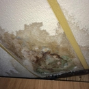 DRYOUTpro PLUS | Disaster Restoration Services | Established 1994