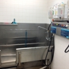Petco Grooming gallery