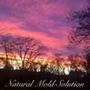 Natural Mold Solution - Mold Remediation