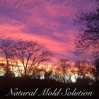 Natural Mold Solution