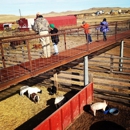 Terry Bison Ranch Resort - Historical Places
