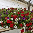 Evans Nursery LLC