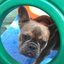 K9 Nanni Dog Boarding & Daycare - Pet Services