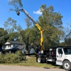 Kinsey Tree Service gallery