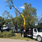 Kinsey Tree Service