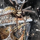 A&A Pest Control - Vancouver - Pest Control Equipment & Supplies