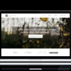 Rodeo Creative (formerly Parrot Digital) gallery