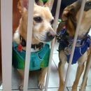 VCA Gentle Vets Animal Hospital - Pet Services