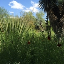 Tucson Botanical Gardens - Botanical Gardens
