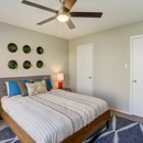 ReNew at Polo Parkway Apartment Homes - Apartments