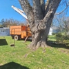 Mitchell's Tree Service gallery