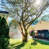 Noosa Pest Management gallery