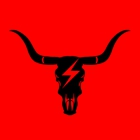 Mario and Sons Electric