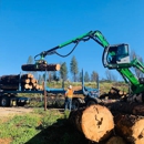 Evergreen Enterprises - Arborists