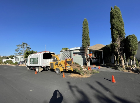 Pedro Lopez Tree Service - Palmdale, CA