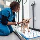 Livewell Animal Hospital of Riverview - Veterinary Clinics & Hospitals
