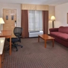 Americas Best Value Inn & Suites San Benito gallery