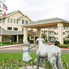 Solstice Senior Living at Clovis