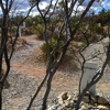 Boothill Graveyard gallery