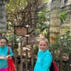 The Bilgrav School gallery