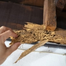 Marathon Pest Control - Pest Control Services