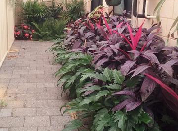 Birnam Nursery - Oakford, WA. Plant supply establishing in amazing display. Thanks to birnam nursery and contractor