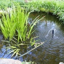 Ebenezer House B&B - Bed & Breakfast & Inns