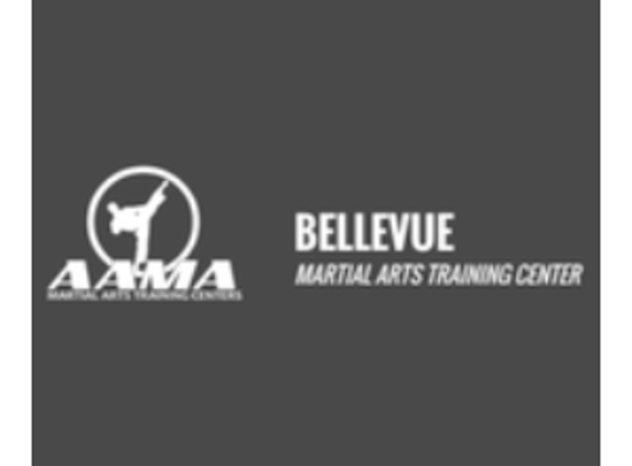 AAMA (American Academies of Martial Arts) - Bellevue, NE