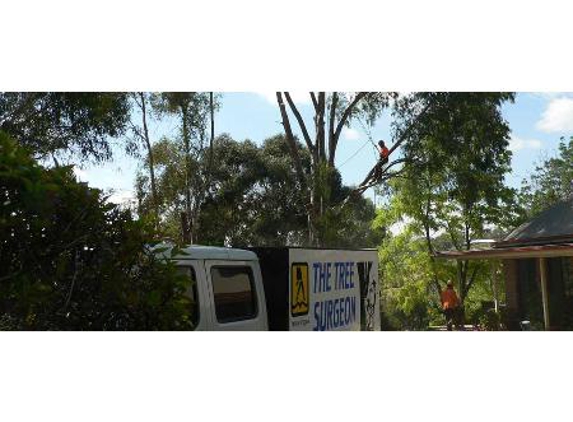 The Tree Surgeon - Spring Creek, NSW