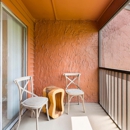 Azure Winter Park Apartments
