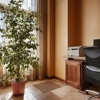 Best Western Palm Court Inn gallery