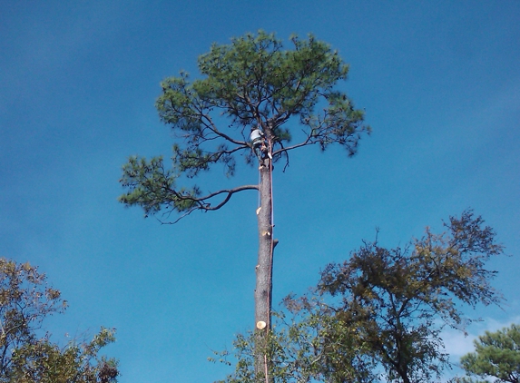 C.I.R. Tree Service - Houston, TX