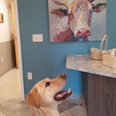 Mainland Veterinary Hospital - Veterinarians