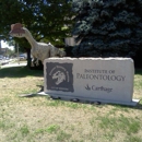 Dinosaur Discovery Museum - Museums
