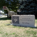 Dinosaur Discovery Museum