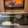 Red Lobster gallery
