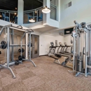 The Patterson Social Apartments - Furnished Apartments