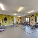 Trailblaze PT & Performance - Physical Therapy Clinics