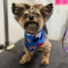 Tumbleweed Country Kennel gallery