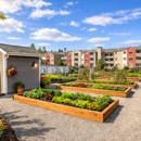 American Property Management