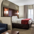 Comfort Suites University-Research Park - Motels