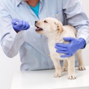 Prickly Pear Pet Vaccine - Veterinarians
