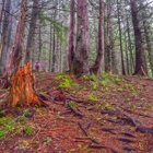 Wallace Falls State Park