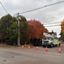 Latham's Tree Service