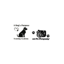 A Dog's Purpose Training Academy & Pet Photography - Dog Training