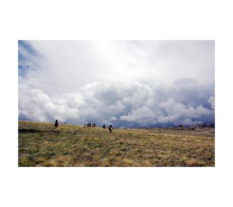 Packer's High Country Horse Riding - Anglers Rest, VIC