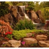 Landscape Solutions, LLC. gallery